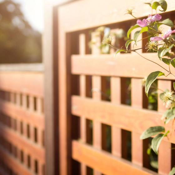 Fence in Richmond VA